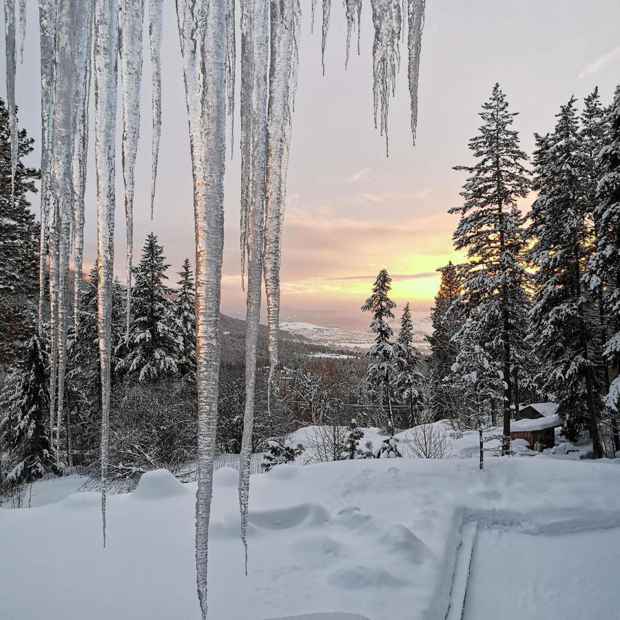 Spirit Lodge At Silverstar Vernon Bagian luar foto